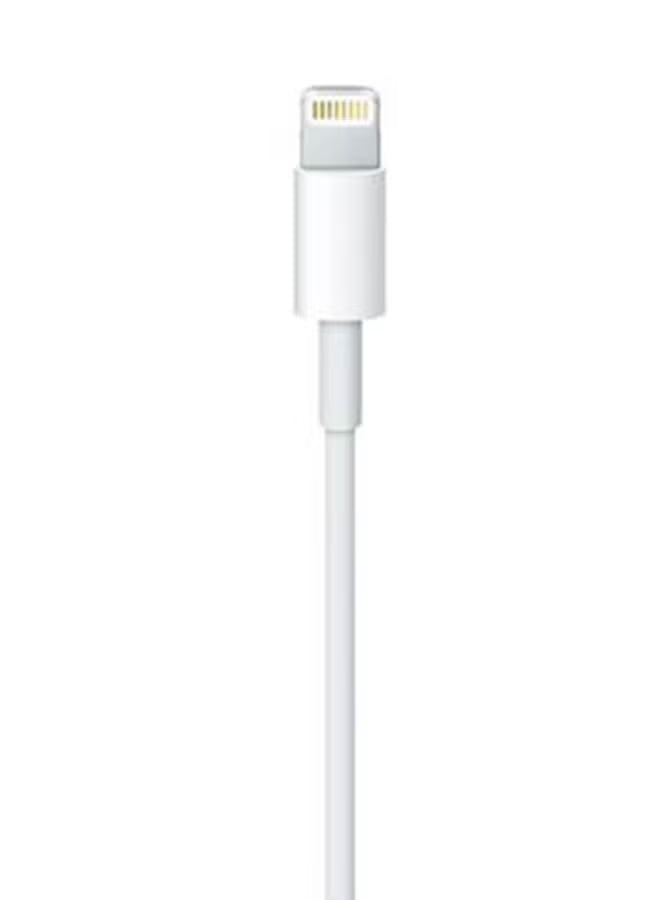 Apple Lightning Hands-Free Earphones