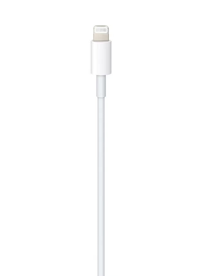 Apple USB-C to Lightning Cable