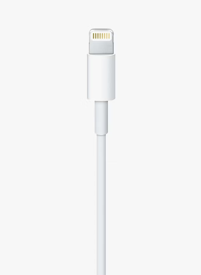 Apple USB-C to Lightning Cable – 2 Meters