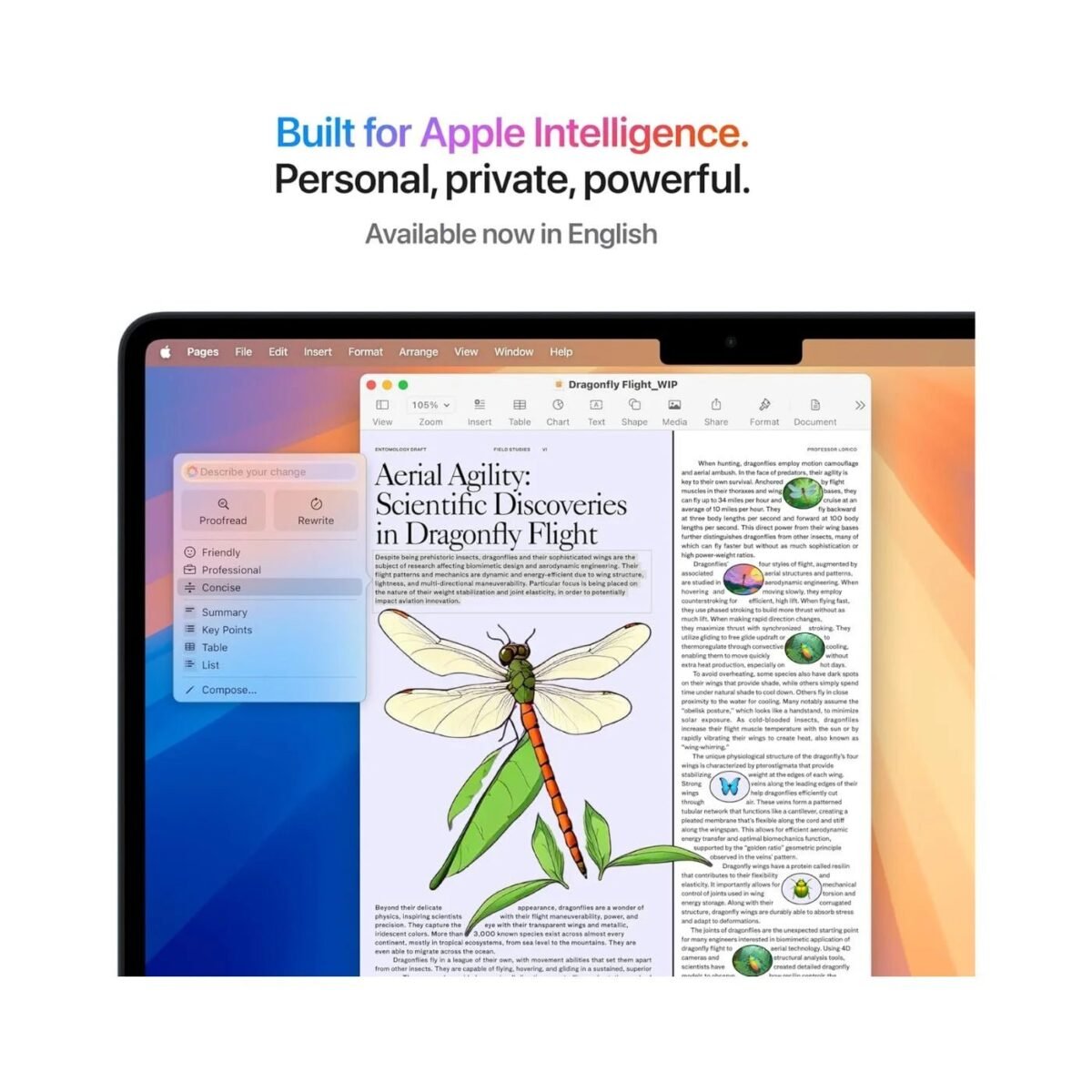 Apple 13" MacBook Air: M4 chip, 16GB, 256GB SSD, Sky Blue - Image 6